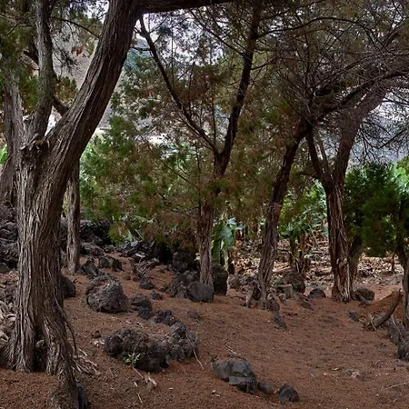 וילה Sabinas - El Guincho,