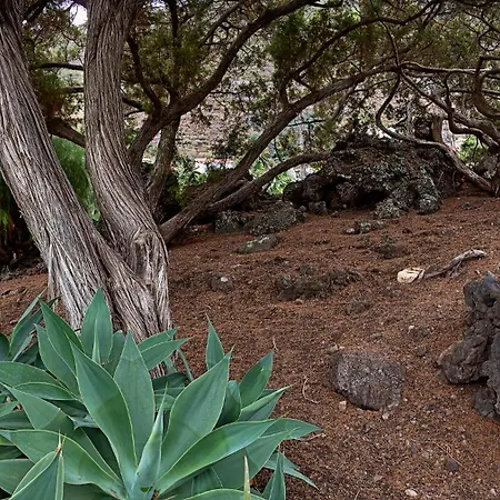 Villa Sabinas - El Guincho, Garachico (Tenerife)