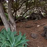 فيلة Sabinas - El Guincho, غاراتْشيكو