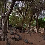 فيلة Sabinas - El Guincho,