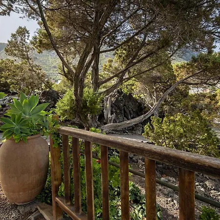 Sabinas - El Guincho, * Garachico (Tenerife)