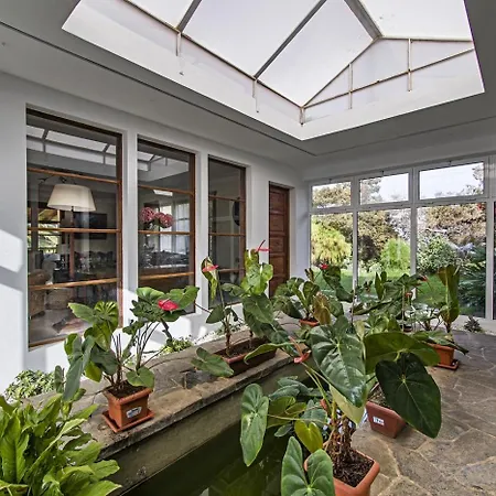 Sabinas - El Guincho, * Garachico (Tenerife)