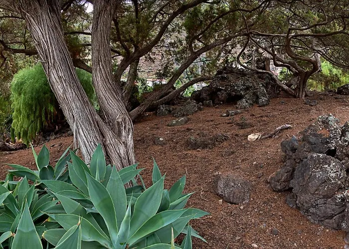 Willa Sabinas - El Guincho, Garachico (Tenerife)