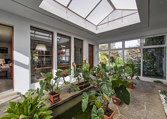 Sabinas - El Guincho, * Garachico (Tenerife)