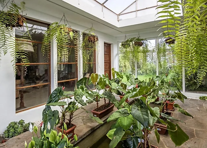 Willa Sabinas - El Guincho,