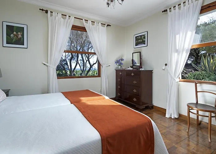 Sabinas - El Guincho, Garachico (Tenerife)